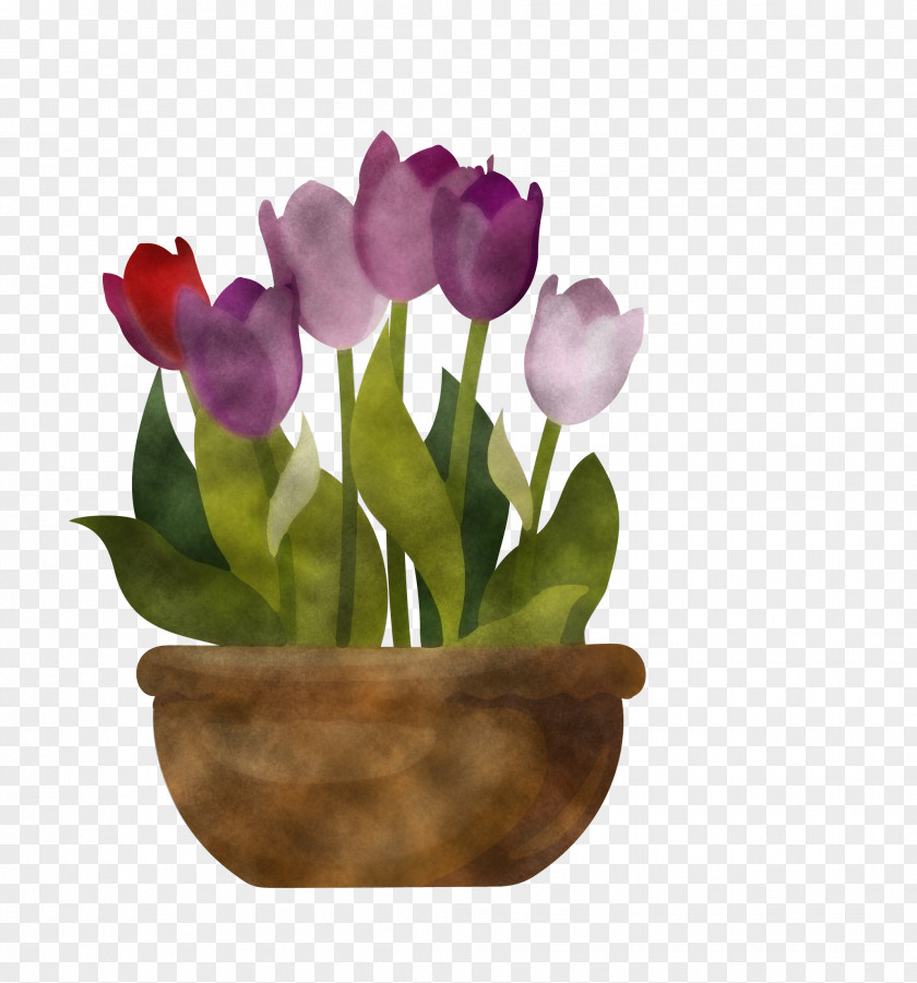 Flower Tulip Flowerpot Violet Purple PNG