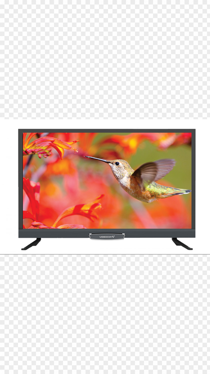 Led Tv LED-backlit LCD Television Set HD Ready High-definition PNG
