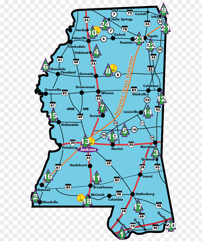 Line Point Map Recreation Tree PNG