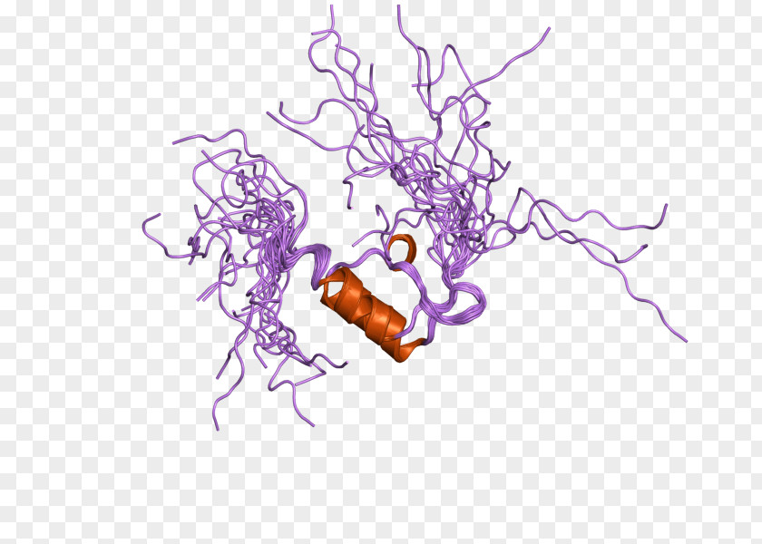 Organism Clip Art PNG