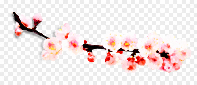 Plum Flower Gratis Download Computer File PNG