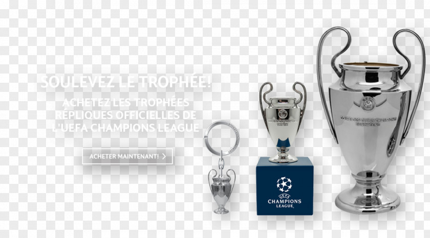Premier League UEFA Champions Trophy Manchester City F.C. Europa PNG