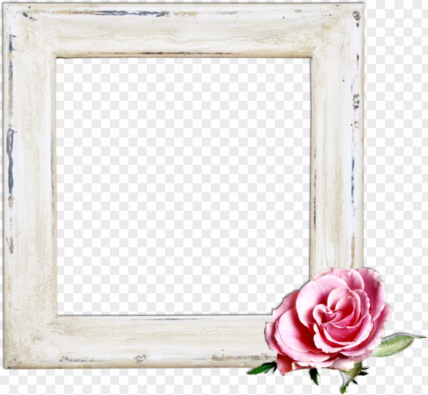 Princess Photo Frame Paper Picture Frames Flower Power Rectangle Label PNG