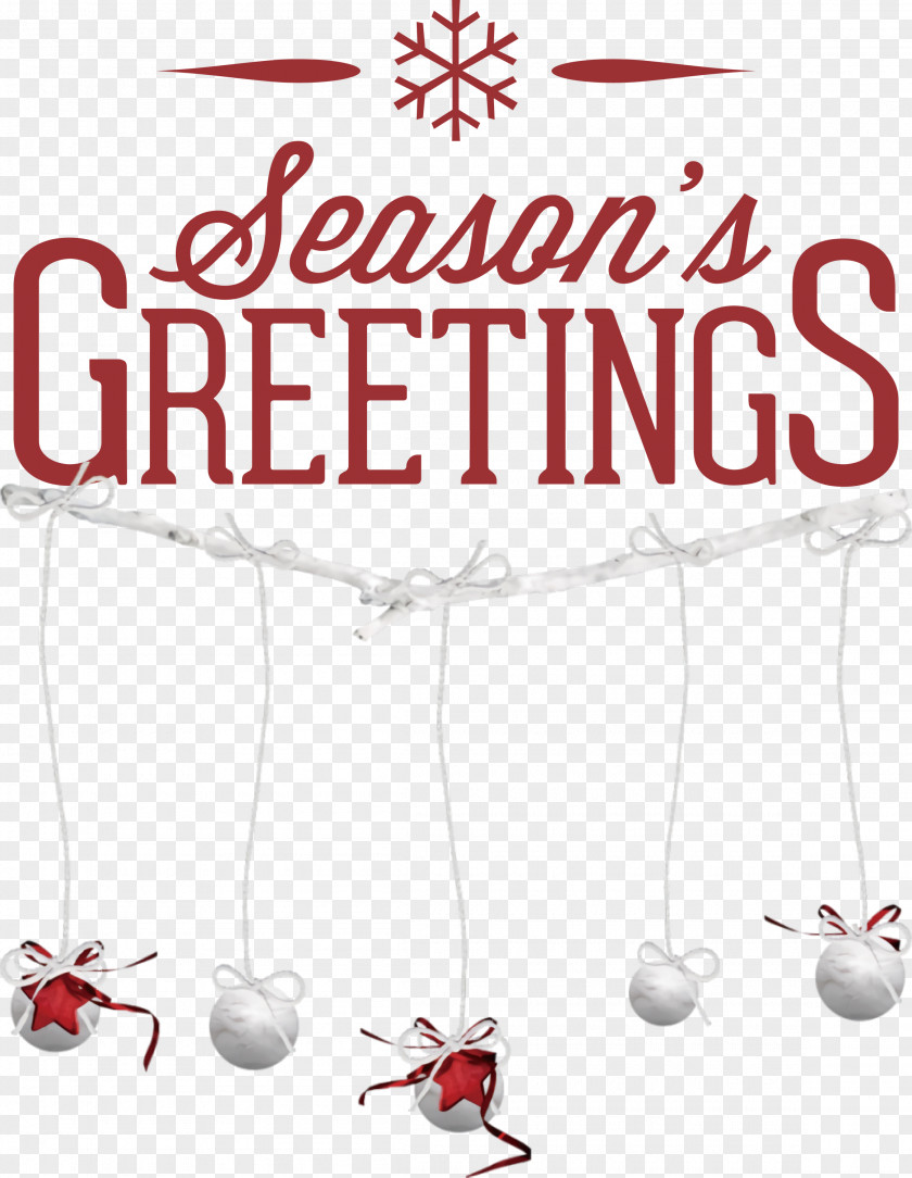 Seasons Greetings Christmas New Year PNG