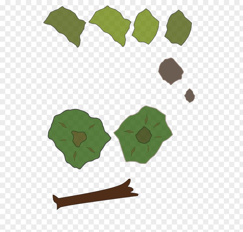 Amazon Forest World Map Clip Art PNG