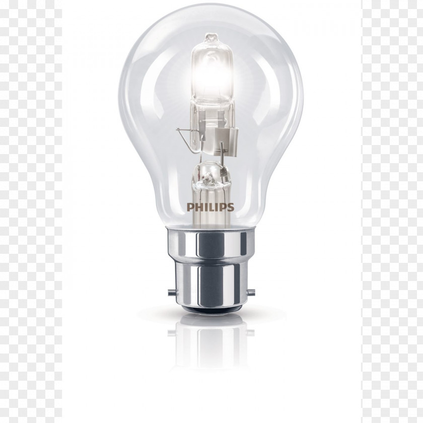 Bulbs Incandescent Light Bulb Halogen Lamp Edison Screw PNG