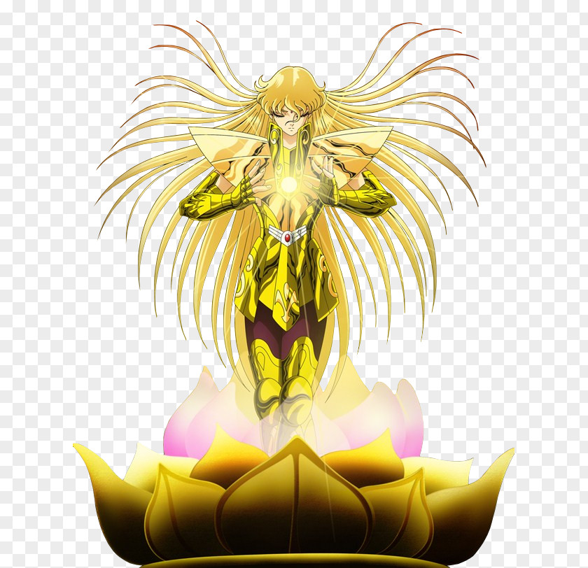 Hami Shaka Pegasus Seiya Saint Seiya: Knights Of The Zodiac Leo Aiolia Virgo PNG