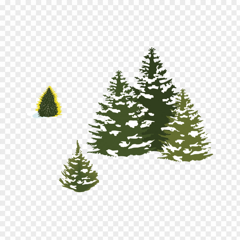 Snow Pine Spruce Christmas Tree PNG
