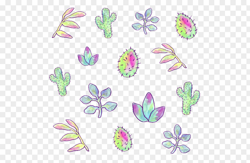 Cartoon Cactus Succulents Succulent Plant Cactaceae PNG