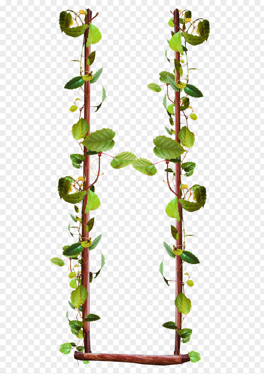 Flower Plant Stem Leaf Twig PNG