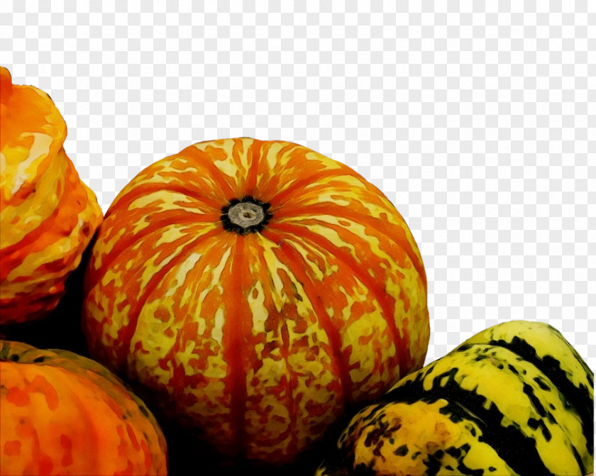 Gourd Squash Pumpkin PNG