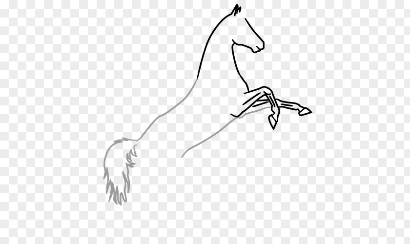 Horse Mane Drawing Line Art Clip PNG