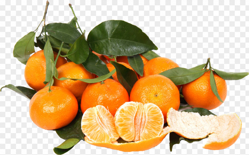 Persimmon Clementine Mandarin Orange Tangerine Food PNG