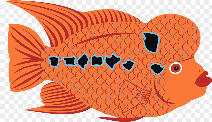 Goldfish Clip Art PNG