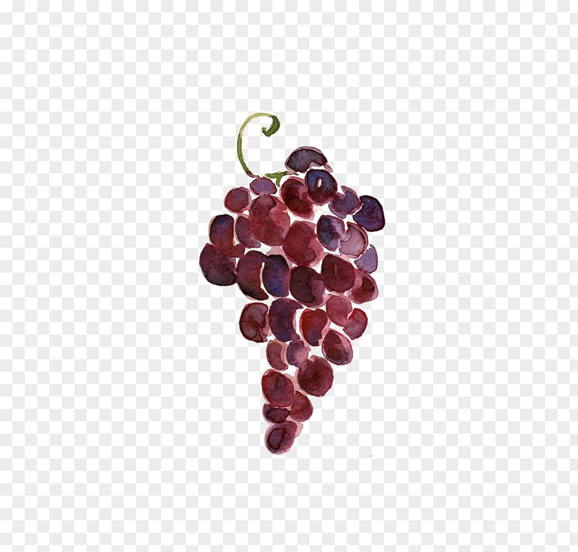 Grape Red Wine Merlot Juice Must PNG
