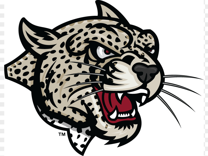 Leopard Football Cliparts Lafayette College Leopards Lehigh Mountain Hawks Colgate University Rider PNG