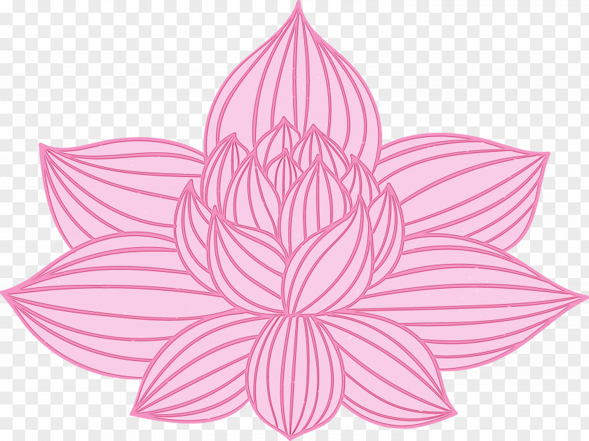 Lotus PNG