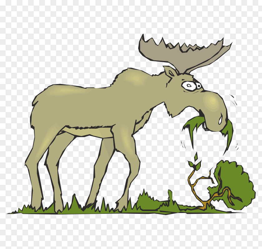 Moose Head Eating Cattle Mammal Clip Art PNG
