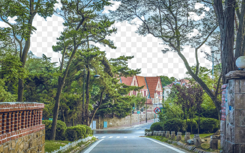 Qingdao Old Town Landscape Lianxi District Mount Lu Wulaofeng Xinghua PNG