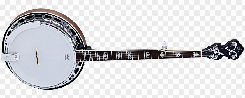 Banjo Guitar String Musical Instruments Mandolin PNG