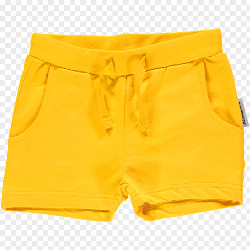 Bermuda Shorts Underpants Trunks Waist PNG