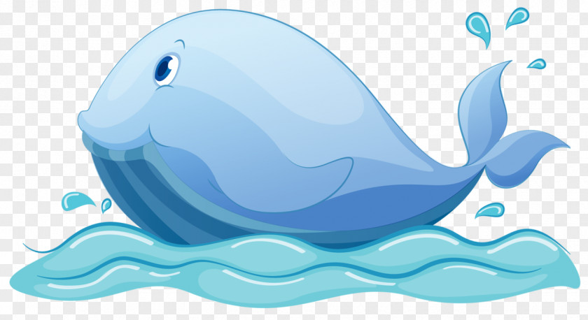 Blue Whale Cetacea Royalty-free Clip Art PNG