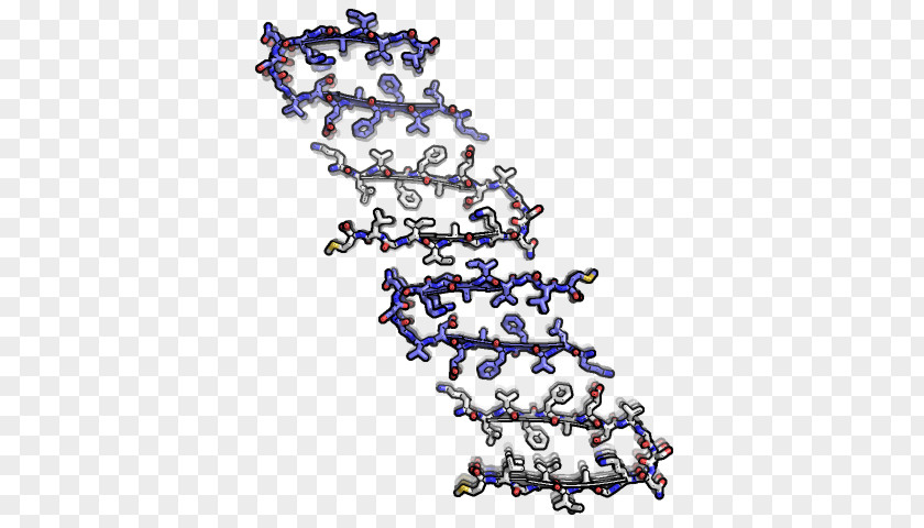 Fibril Amyloid Beta-2 Microglobulin Molecular Model PNG