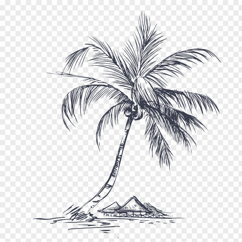 Hand-painted Island Tour Coconut Tree PNG