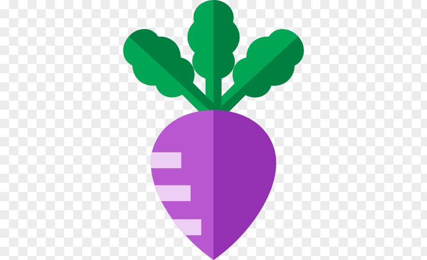 Leaf Tarlac City Turnip Food PNG