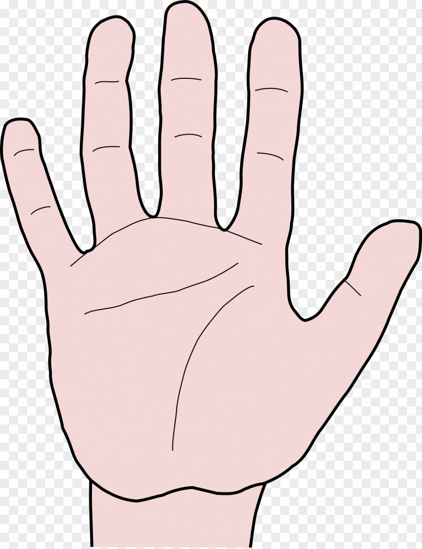 Middle Finger Thumb Hand Arm PNG