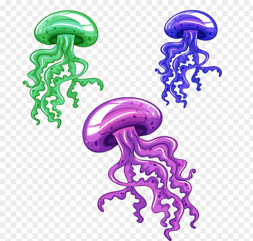 Sea Jellyfish Vector Graphics Clip Art Illustration PNG