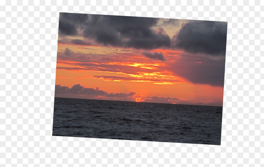 Sea Picture Frames Sky Plc PNG