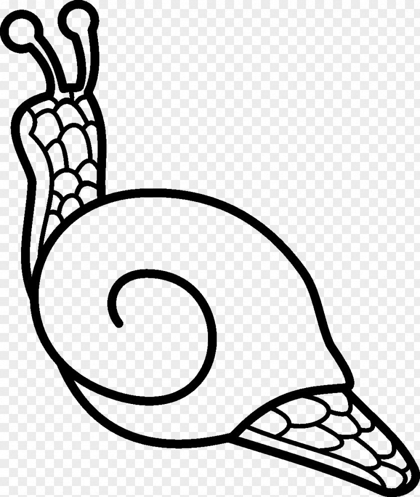 Snails Stencil Photography Insect Image Sharing Sketch PNG