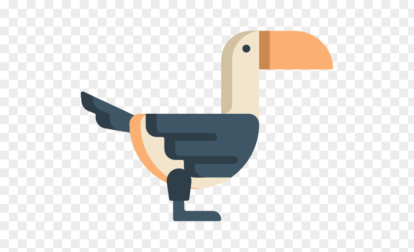 Toucan Water Bird Cygnini Goose Duck PNG