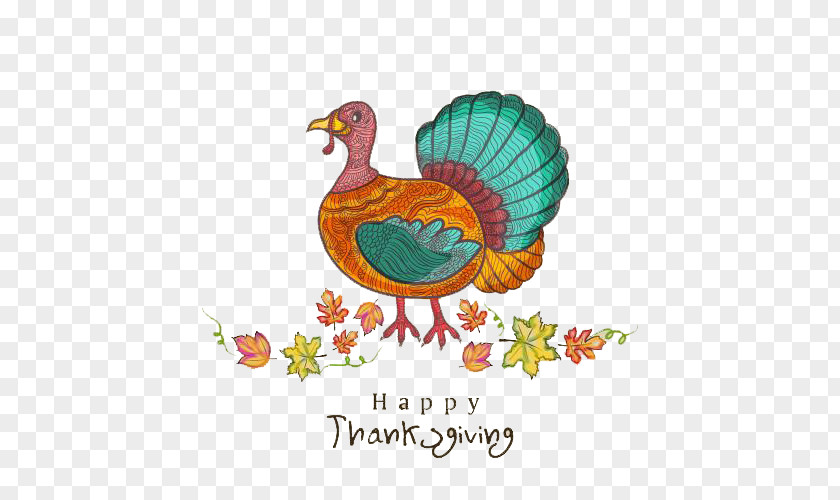 Turkey Thanksgiving Day Public Holiday PNG