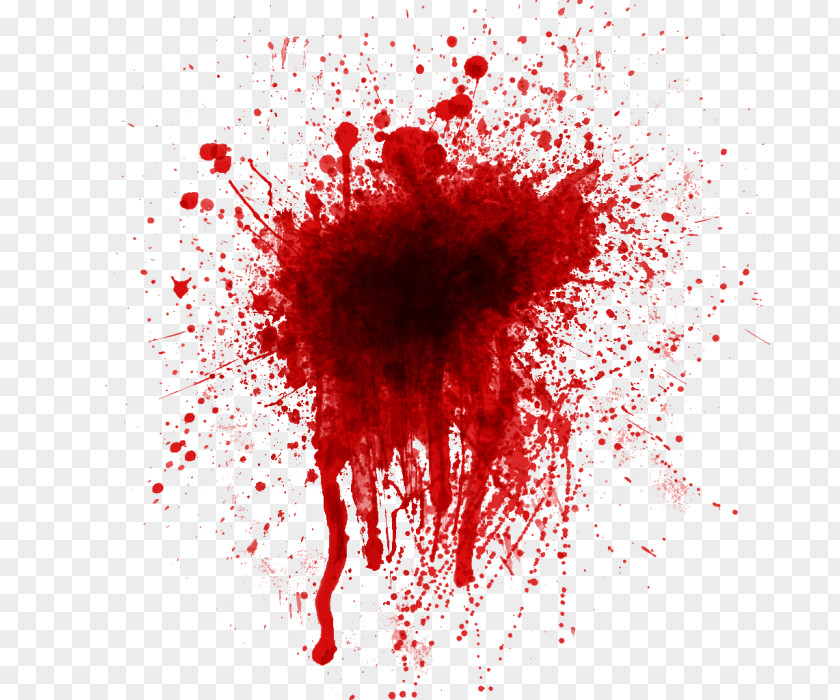 Blood Bloodstain Pattern Analysis Image Clip Art Red PNG