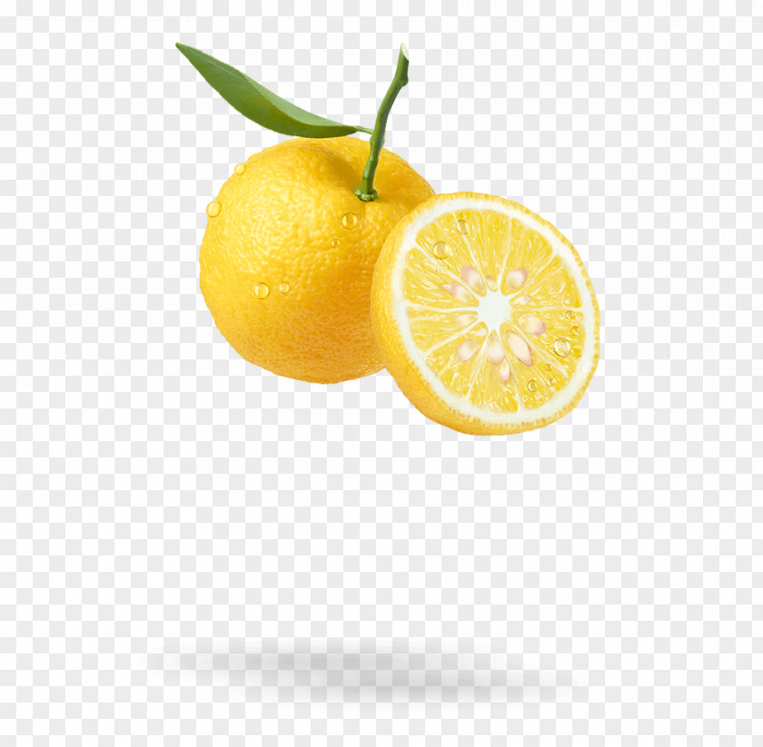 Citrus Junos Fruit Lemon Hair Clementine PNG