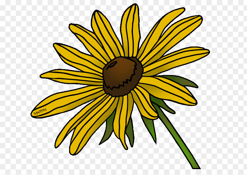 Flower Blackeyed Susan Maryland State Clip Art PNG