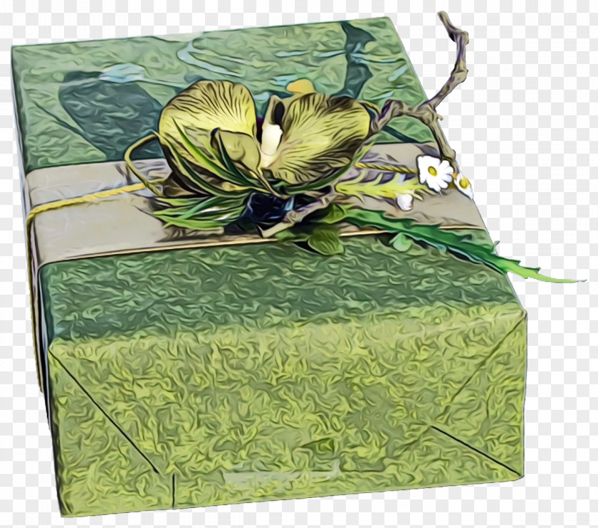 Flower Present Green Box Leaf Gift Wrapping Plant PNG