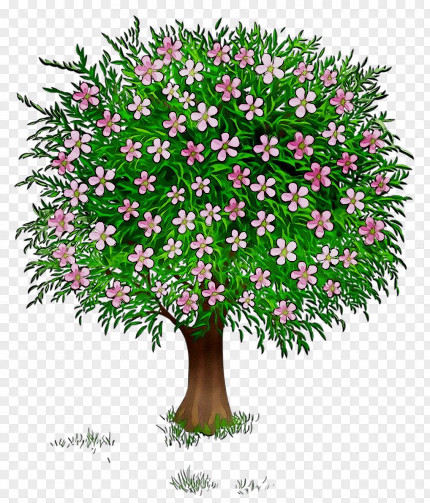 Flowerpot Houseplant Shrub Flowering Plant PNG