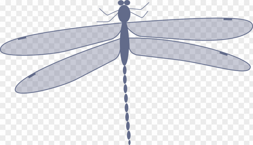 Gray Dragonfly Insect Animation Clip Art PNG