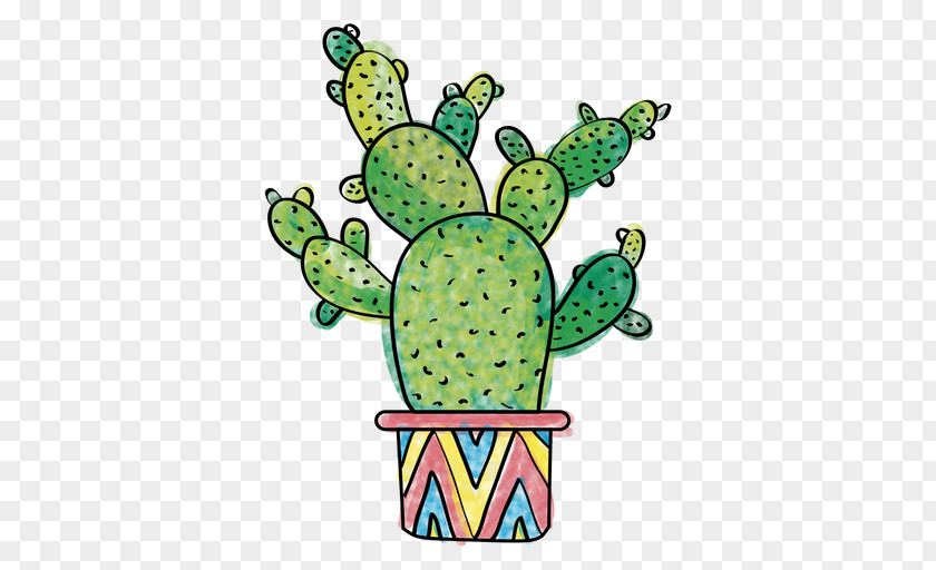 Green Cactus Pilosocereus Drawing Illustration PNG