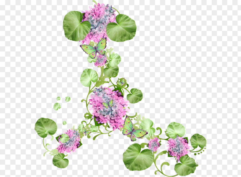 Ping Fruit Cut Flowers Floral Design Clip Art PNG