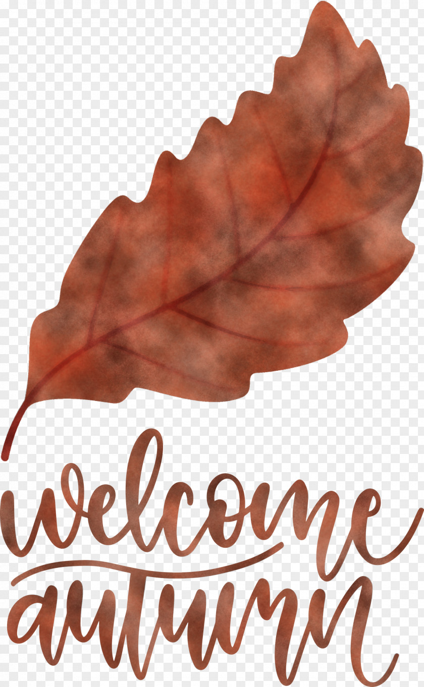 Welcome Autumn PNG