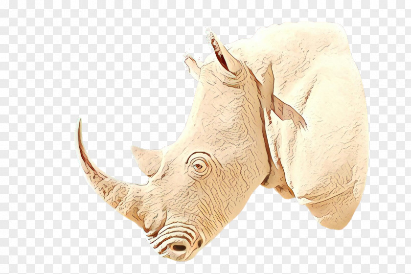 Wildlife White Rhinoceros Fauna PNG