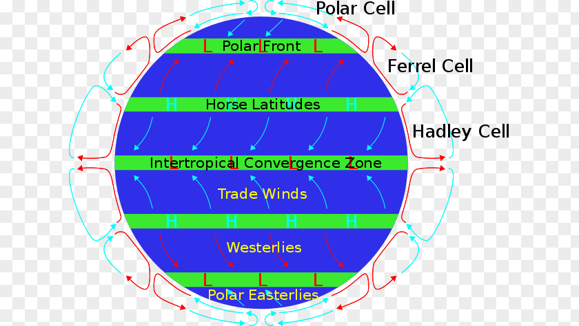 Wind Pattern Subtropical Ridge Doldrums Latitude Trade Winds Westerlies PNG