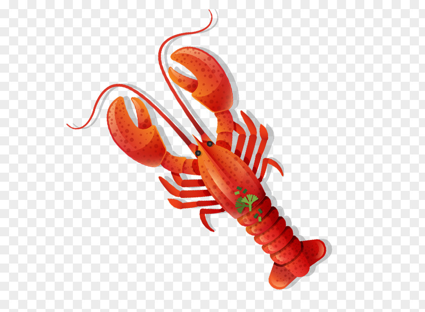 A Lobster Seafood PNG