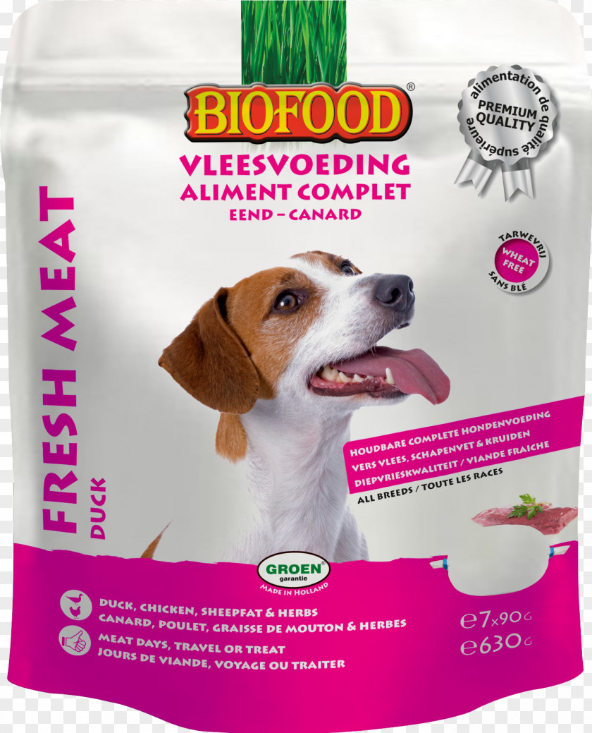 Dog Croquette Puppy Organic Food PNG