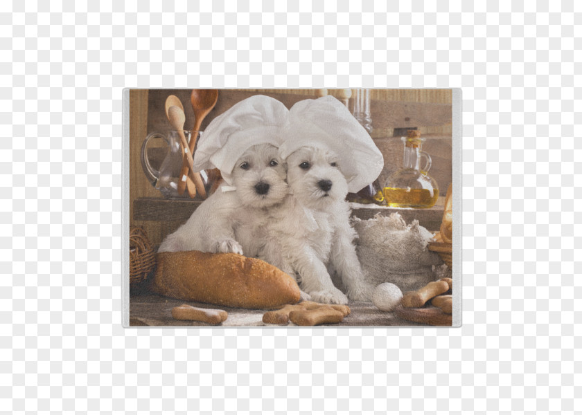 Glass Board West Highland White Terrier Puppy Samoyed Dog Food Pet PNG