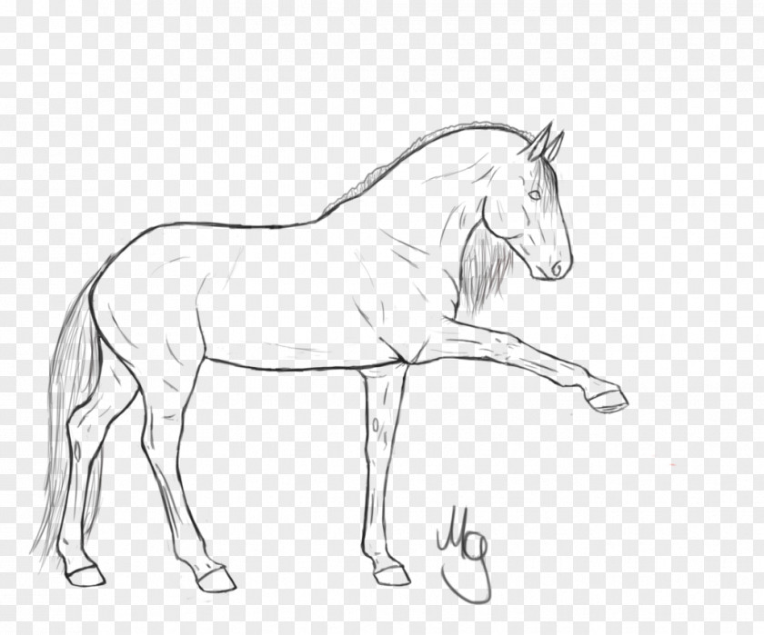 Horse Drawing Mule Bridle Stallion Halter Mustang PNG